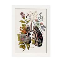 POSTER Anatomie Bronchien A4 Weißer Rahmen - Weiß, Papier (29.7/5/21cm) - Nacnic