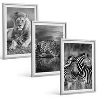 BILDER SET 3er Set - 40x60 cm Silberner Rahmen - Wildtiere der Savanne - Silberfarben, Kunststoff (40/60cm) - TULUP