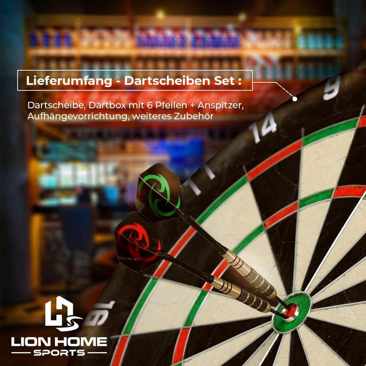 DARTSCHEIBE - Multicolor, Holzwerkstoff (45/45cm) - Lion Home Sports