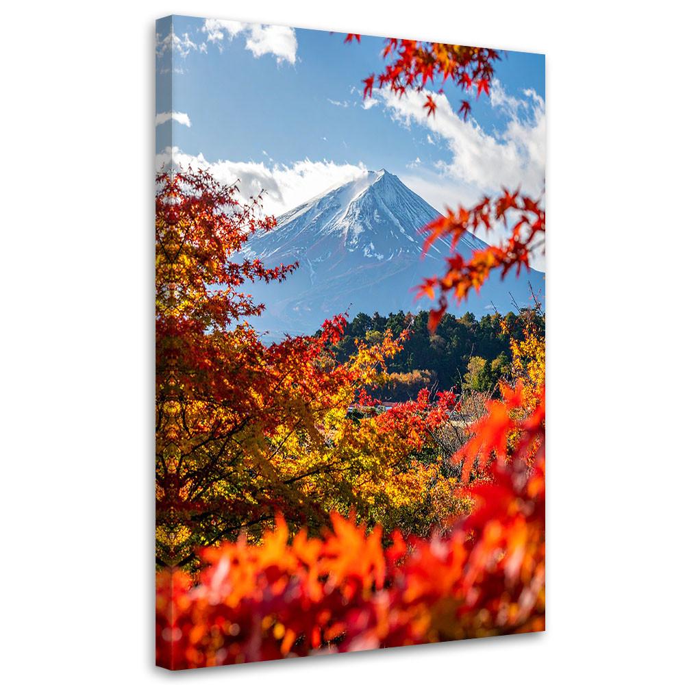 LEINWANDBILD Berg Fuji Landschaft Natur 40x60cm - Multicolor, Textil (40/60cm) - Feeby