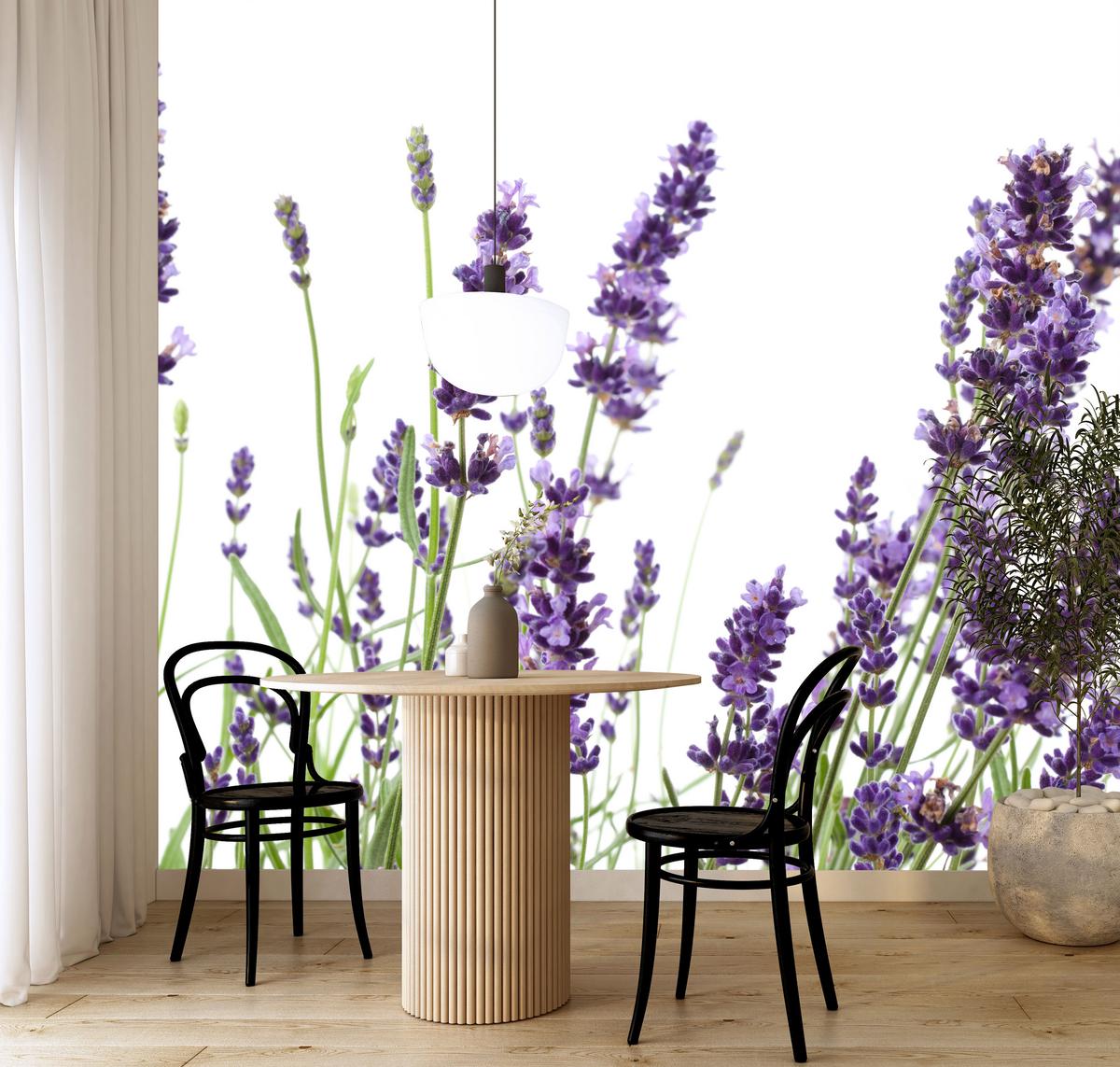 FOTOTAPETE für Küche Lavendelblüten Weißer Hintergrund 100x70 - Violett/Lila, Papier (100/70cm) - Muralo