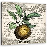 WANDBILD vintage orange - Orange, Textil (50/50cm) - Feeby