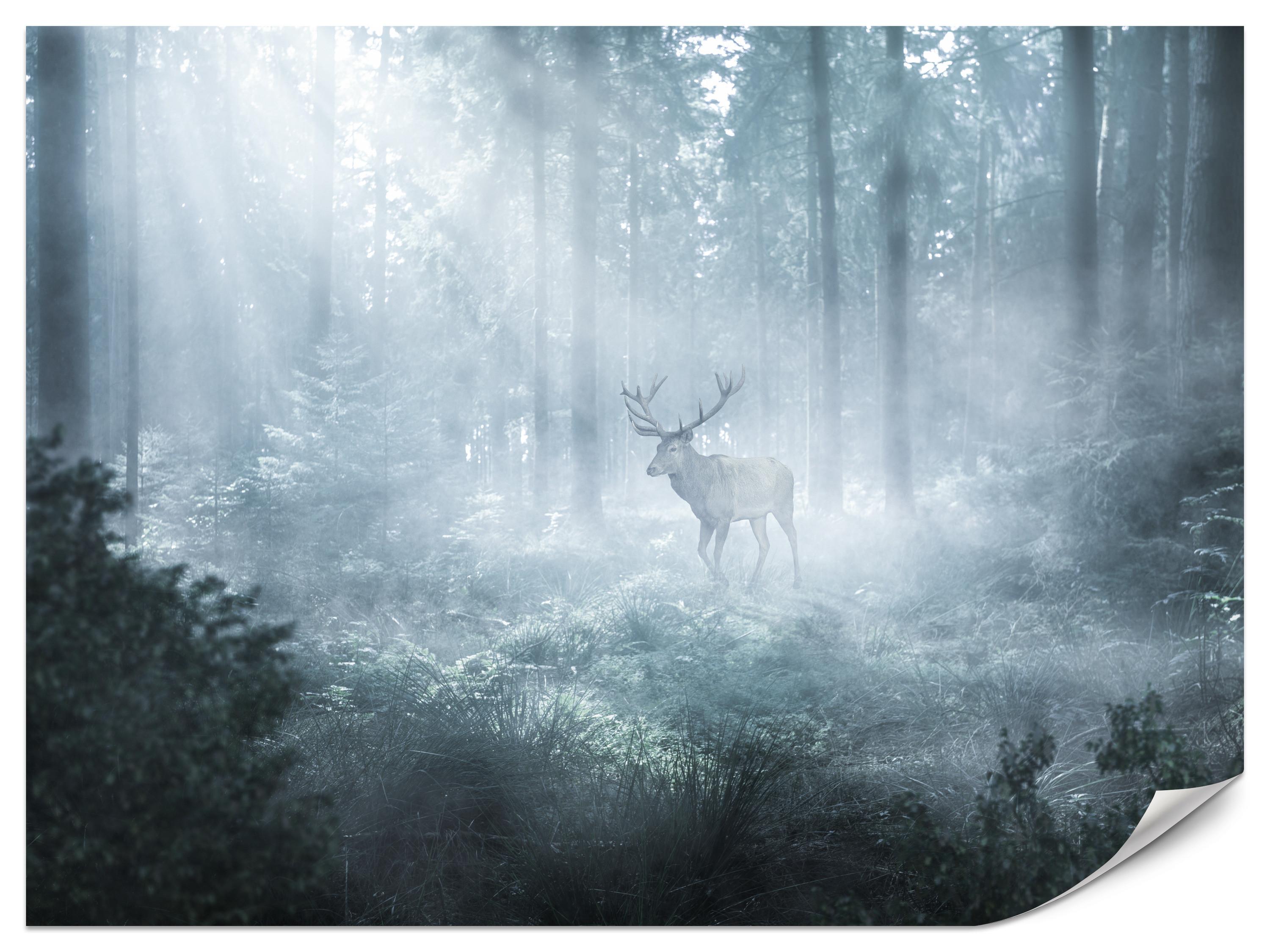 FOTOTAPETE für Wohnzimmer Hirsch Nebelwald Bäume Pflanzen 350x256 - Weiß/Grau, Papier (350/256cm) - Muralo