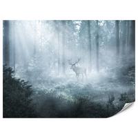 FOTOTAPETE für Wohnzimmer Hirsch Nebelwald Bäume Pflanzen 350x256 - Weiß/Grau, Papier (350/256cm) - Muralo