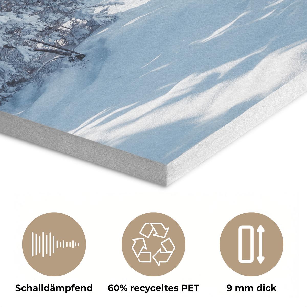 AKUSTIKBILD Winterlandschaft - Natur - Berge - Bäume - Schnee Wandbilder 60x60 cm - Hellblau, Kunststoff (60/60/0.9cm) - MuchoWow