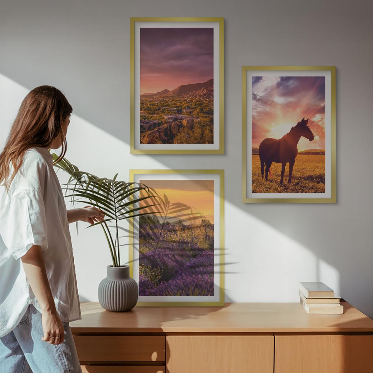 BILDER SET 3er Set - 40x60 cm Goldrahmen - Berglandschaft mit einem Pferd - Goldfarben, Kunststoff (40/60cm) - TULUP