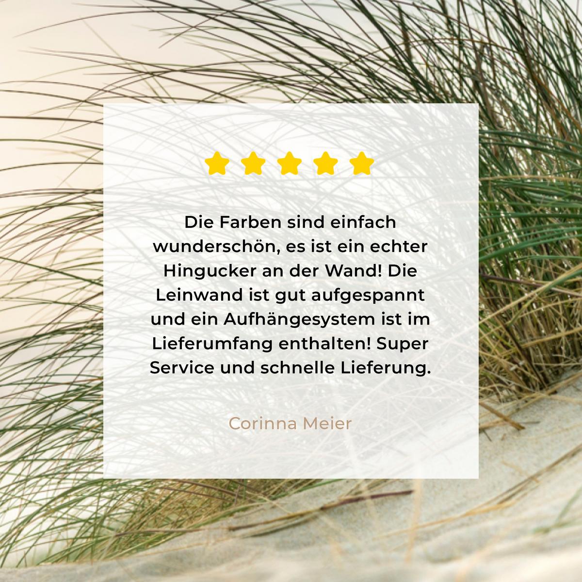 LEINWANDBILD Dünen mit Strandhafer in der Sonne des Nationalparks Schleswig-Holsteinisches Wattenmeer Wandbild 40x30 cm - Creme, Textil (40/30cm) - MuchoWow