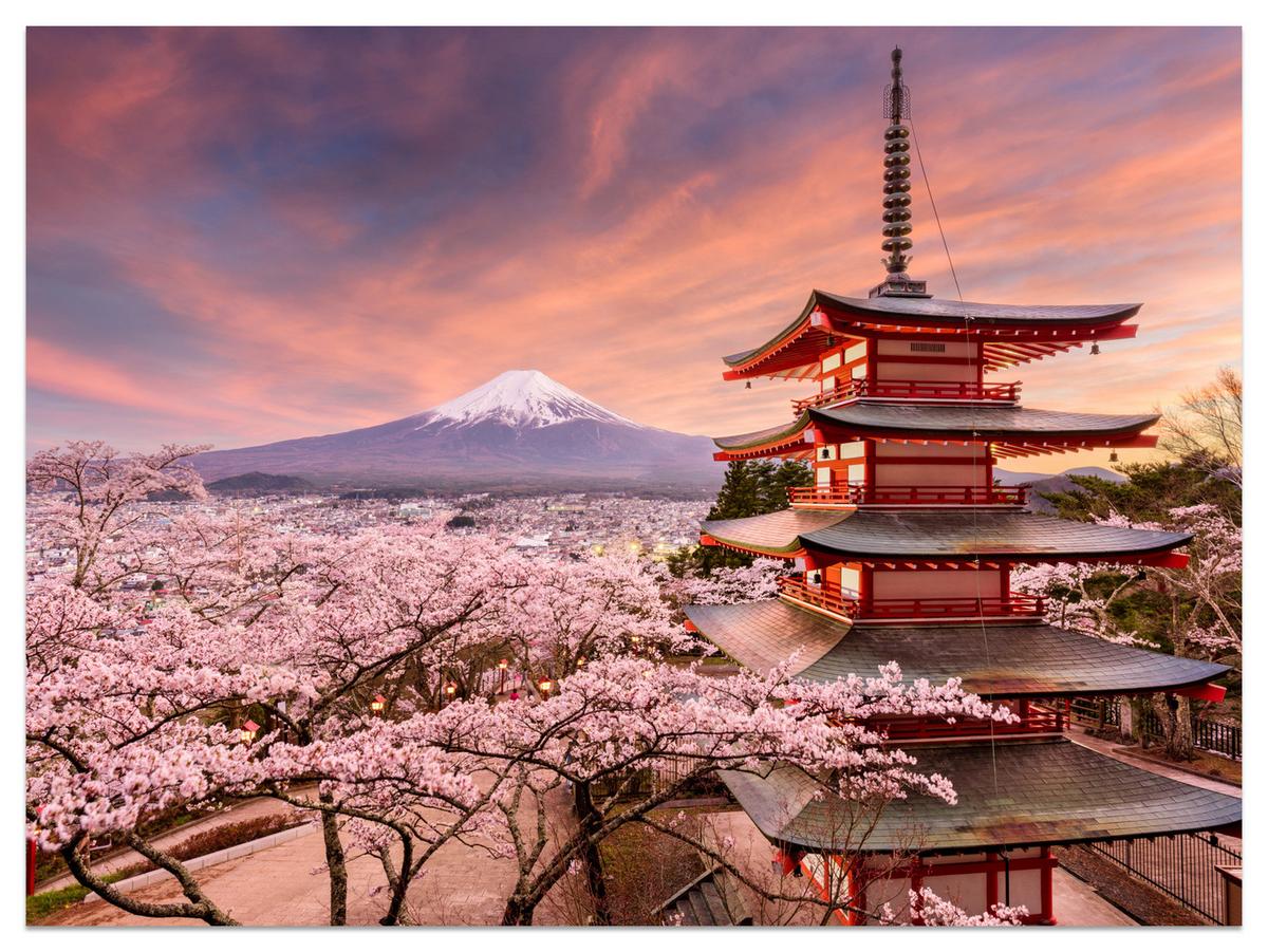 FOTOTAPETE Pagode Berg Fuji Sakura Landschaft 3D 100x70 - Rot/Violett, Papier (100/70cm) - Muralo