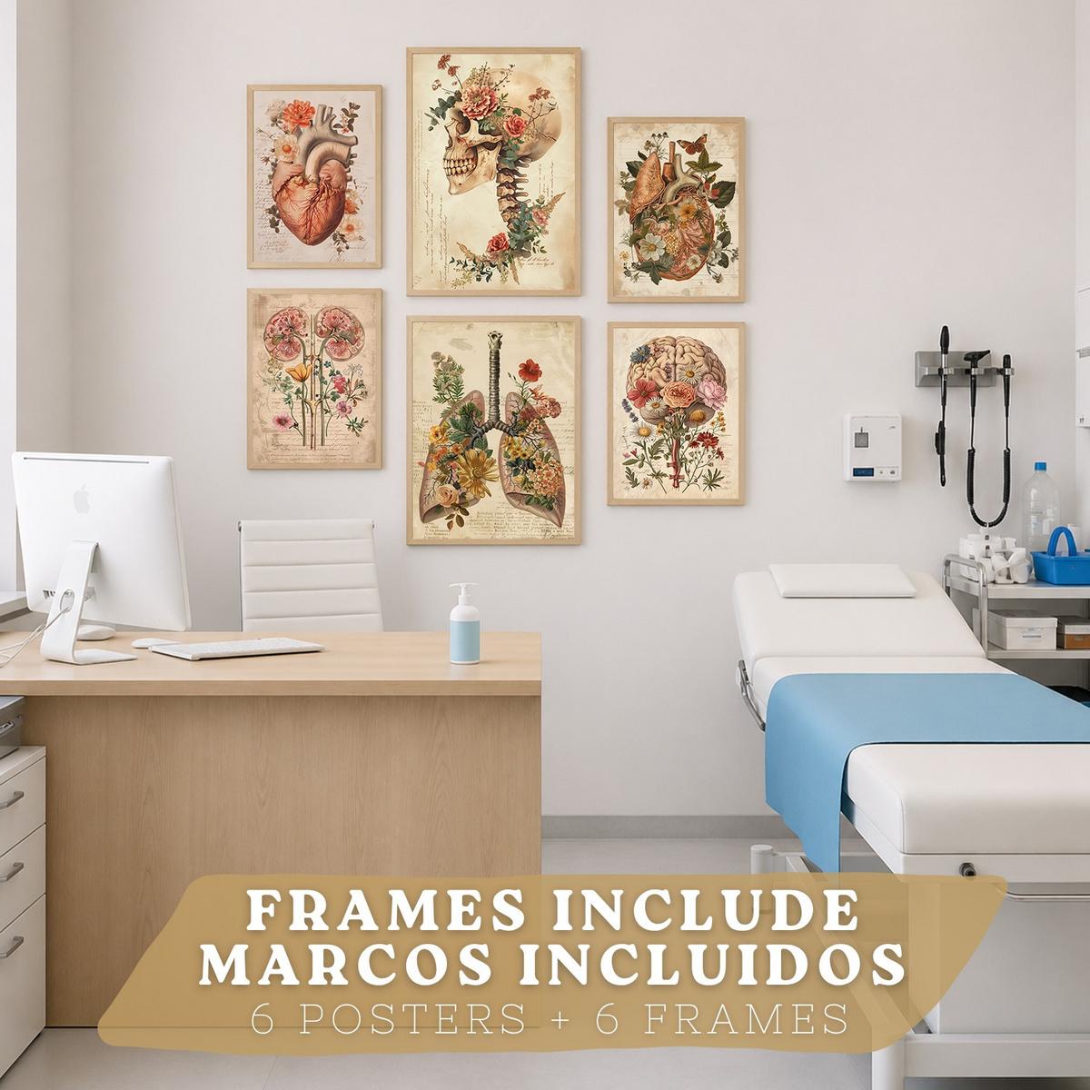 POSTER Set aus 6 Botanische Anatomie Drucke mit Herz Lungen Wirbelsäule Becken und Rippen Beige Terrakotta Erdtöne Leichter Holzrahmen A3 & A4 - Beige, Papier (29.7/42/3cm) - Nacnic