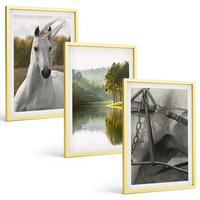 BILDER SET 3er Set - 40x60 cm Goldrahmen - Natur des Flusses White Horses - Goldfarben, Kunststoff (40/60cm) - TULUP