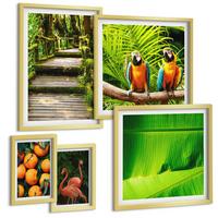 BILDER SET 5er Set - 50x50 cm & 20x30 cm & 40x60 cm Goldrahmen - Fruchtige Akzente der Tropen - Goldfarben, Kunststoff (40/60cm) - TULUP