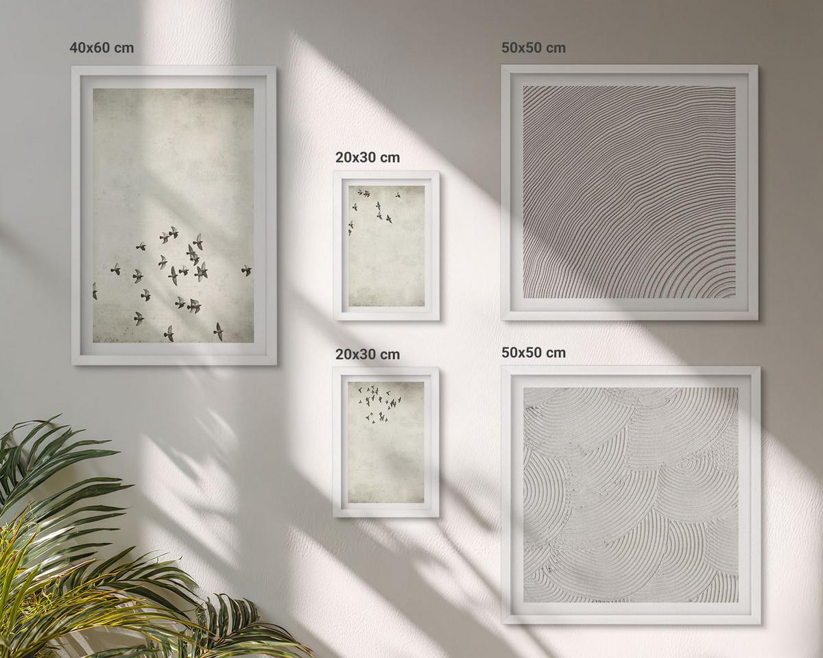 BILDER SET 5er Set - 50x50 cm & 20x30 cm & 40x60 cm Weißer Rahmen - Minimalistische Vogelmalerei - Weiß, Kunststoff (40/60cm) - TULUP