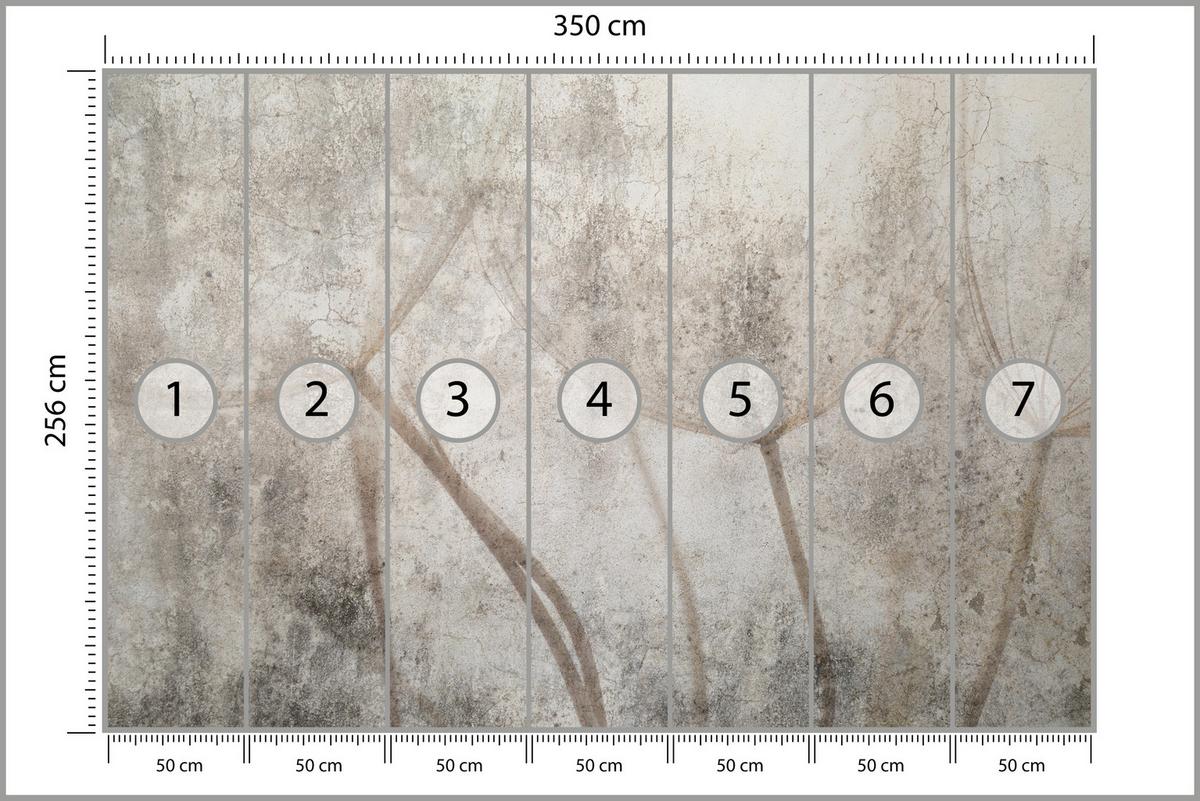 FOTOTAPETE für Wohnzimmer Zarter Skizze Löwenzahn Grauer Beton Minimalistisch 350x256 - Beige/Braun, Papier (350/256cm) - Muralo