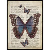 POSTER Schwarz Schmetterling. Schmetterlinge . A4 Rahmenlos - Klar, Papier (29.7/5/21cm) - Nacnic