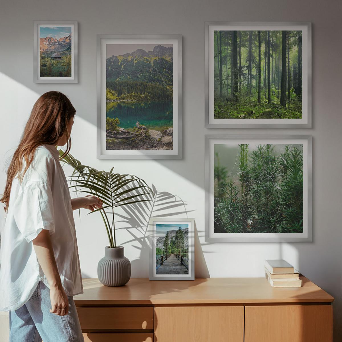 BILDER SET 5er Set - 50x50 cm & 20x30 cm & 40x60 cm Silberner Rahmen - Minimalistische Pflanzenzeichnungen - Silberfarben, Kunststoff (40/60cm) - TULUP