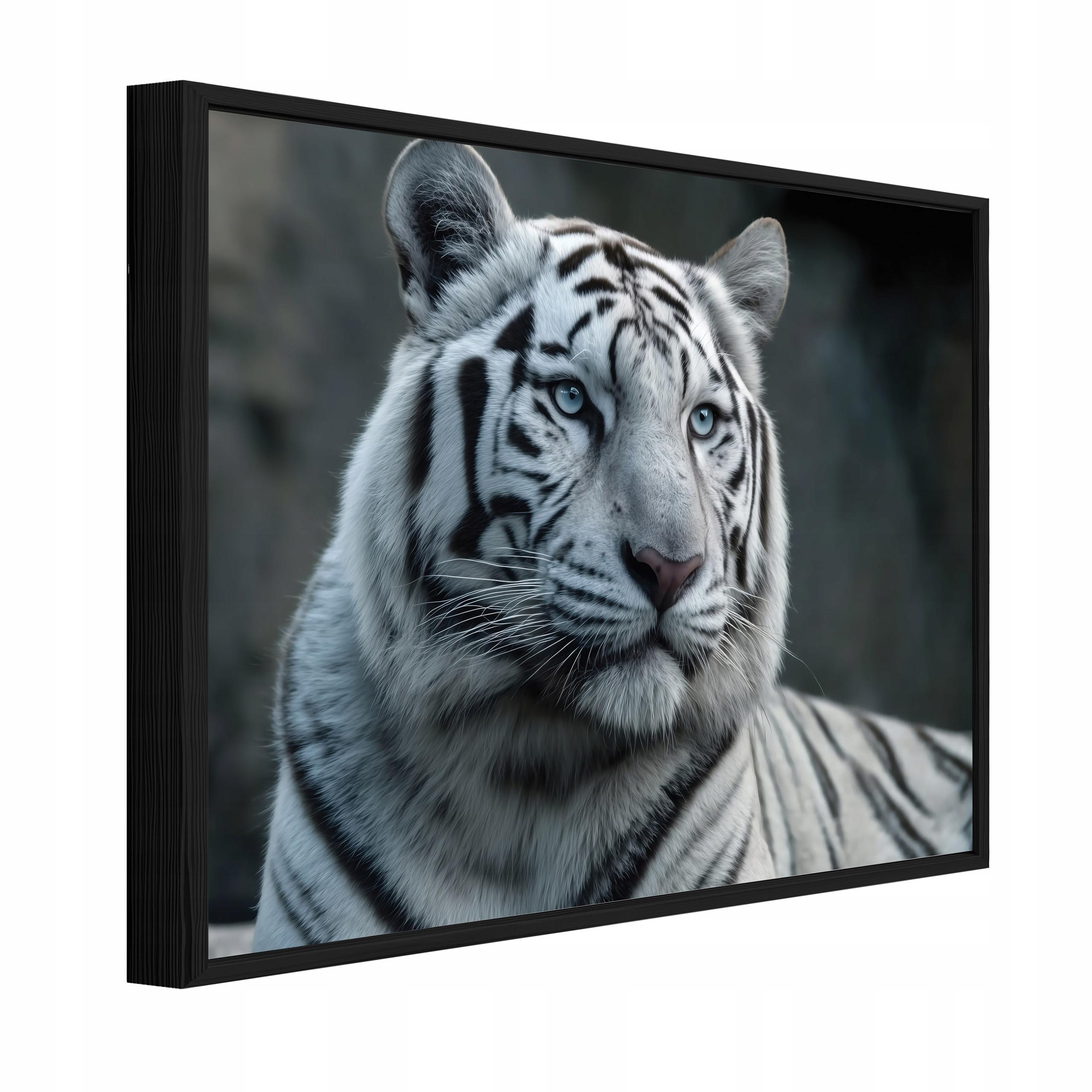 BILDER mit Rahmen Tiger Tiere Weiß 100x70 cm - Multicolor, Holzwerkstoff (100/70cm) - Wallarena