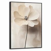 LEINWAND Bilder mit Rahmen - Blume - Beige - Farbe - Schatten - 70x100 - Creme, Textil (70/100cm) - MuchoWow