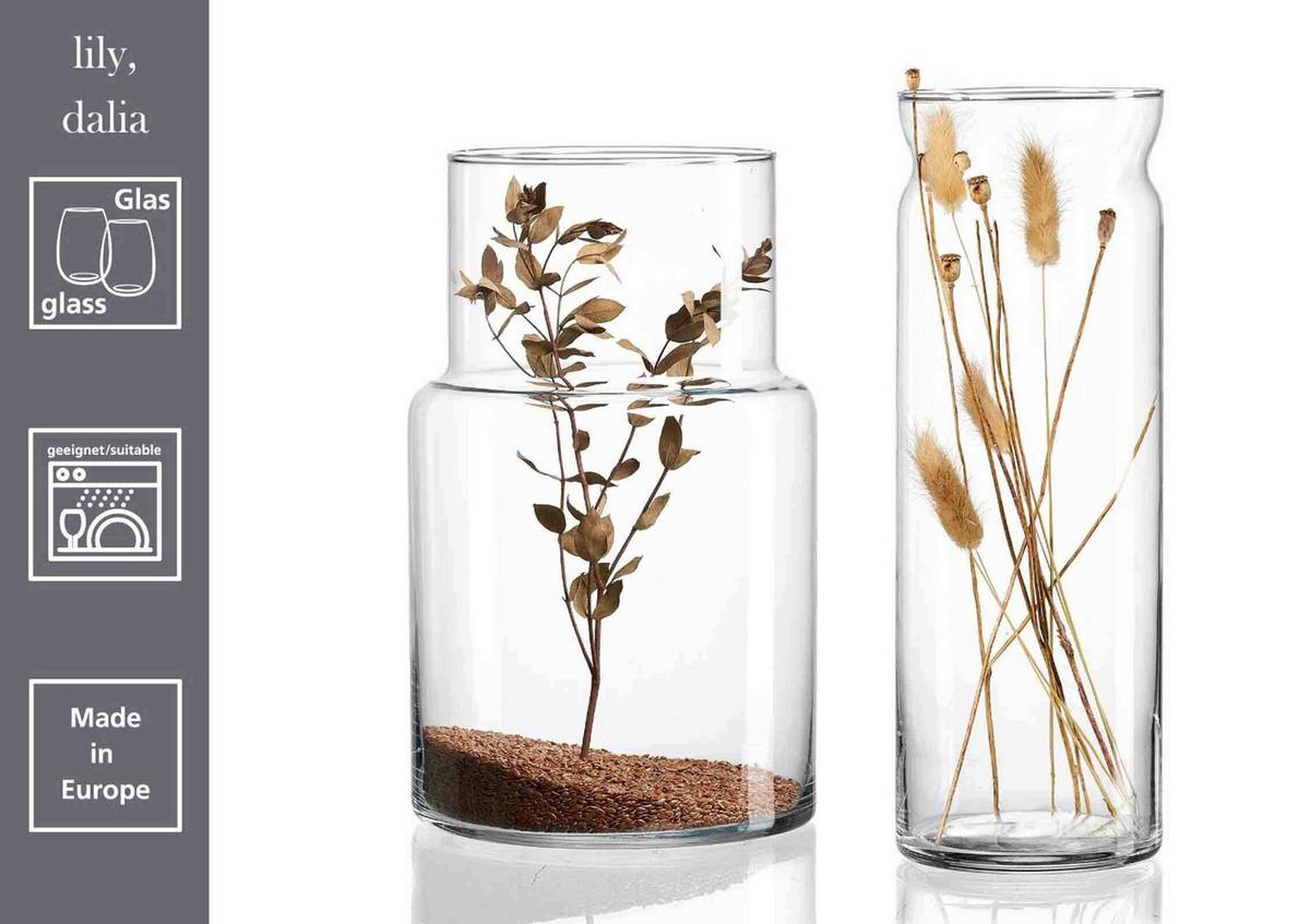 VASEN Dalia transparent 35 cm 6er Set - Transparent, Glas (12/35cm) - Ritzenhoff Breker