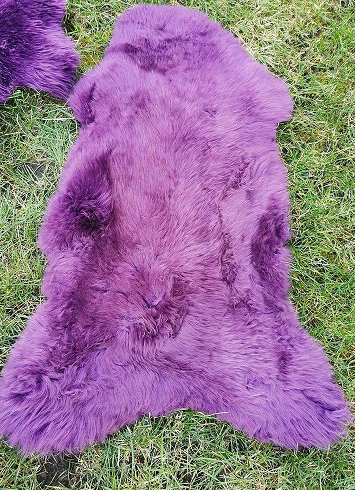 LAMMFELL Öko bunt gefärbt weich Fell Teppich Amethyst ca. 90 cm - Violett, Fell (50/90cm) - Provellus