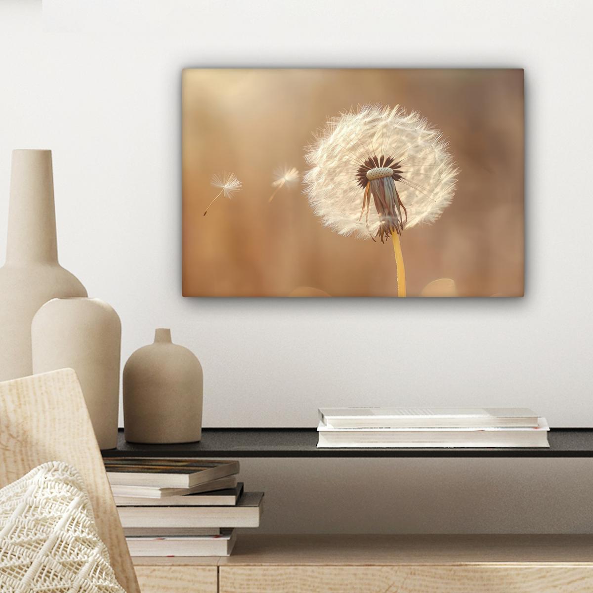 LEINWANDBILD Löwenzahn - Beige - Natur - Blume Deko Schlafzimmer 30x20 cm - Hellbraun, Textil (30/20cm) - MuchoWow