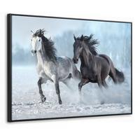 LEINWAND Bilder mit Rahmen - Pferde - Winter - Tiere - Natur - Schnee - 100x70 - Anthrazit, Textil (100/70cm) - MuchoWow