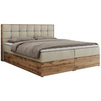 BOXBETT ALBERO 1 - 160/200 Beige Velvet - H4 - Beige, Holz/Textil (160/200cm) - MKS