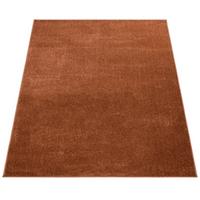 KURZFLORTEPPICH Waschbar, einfarbig, Braun, 60 x 100 cm - Braun, Textil (100/60cm) - KADIMA DESIGN