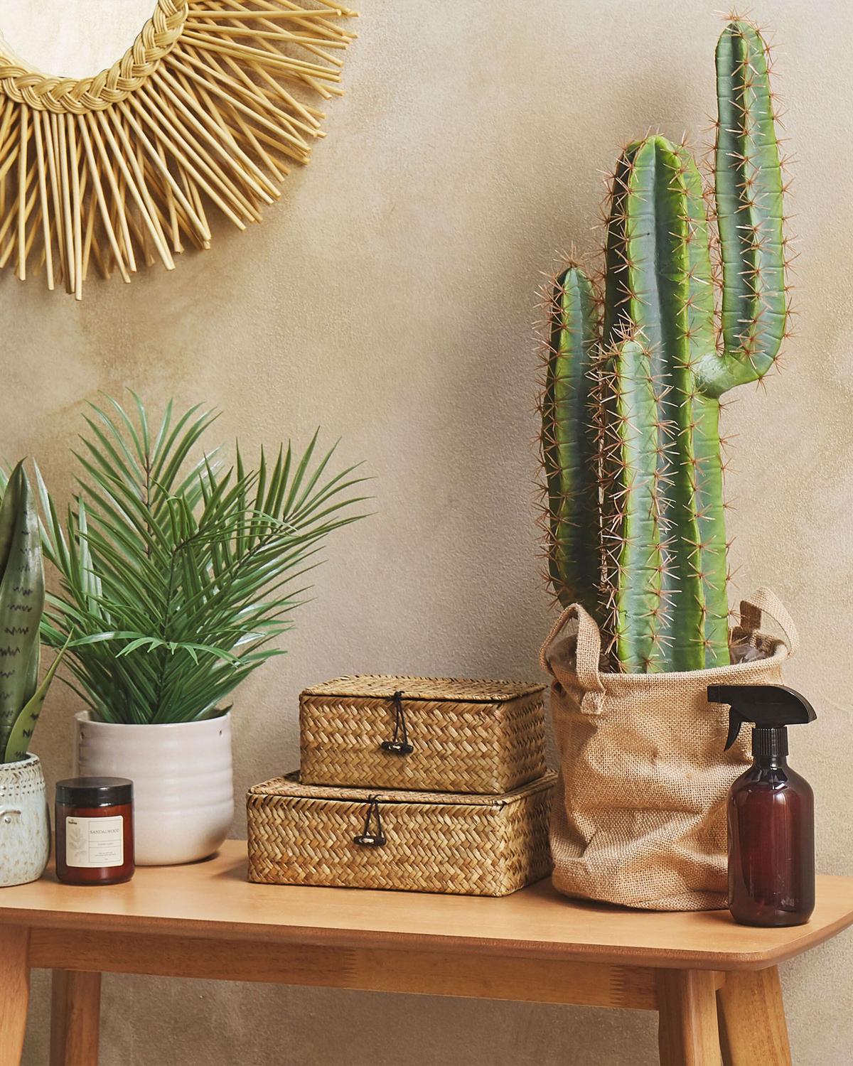 KUNSTPFLANZE Grün Cactus - Schwarz/Grün, Kunststoff (78cm) - Beliani