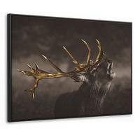 LEINWAND Bilder mit Rahmen - Rotwild - Schwarz - Gold - 80x60 - Braun, Textil (80/60cm) - MuchoWow