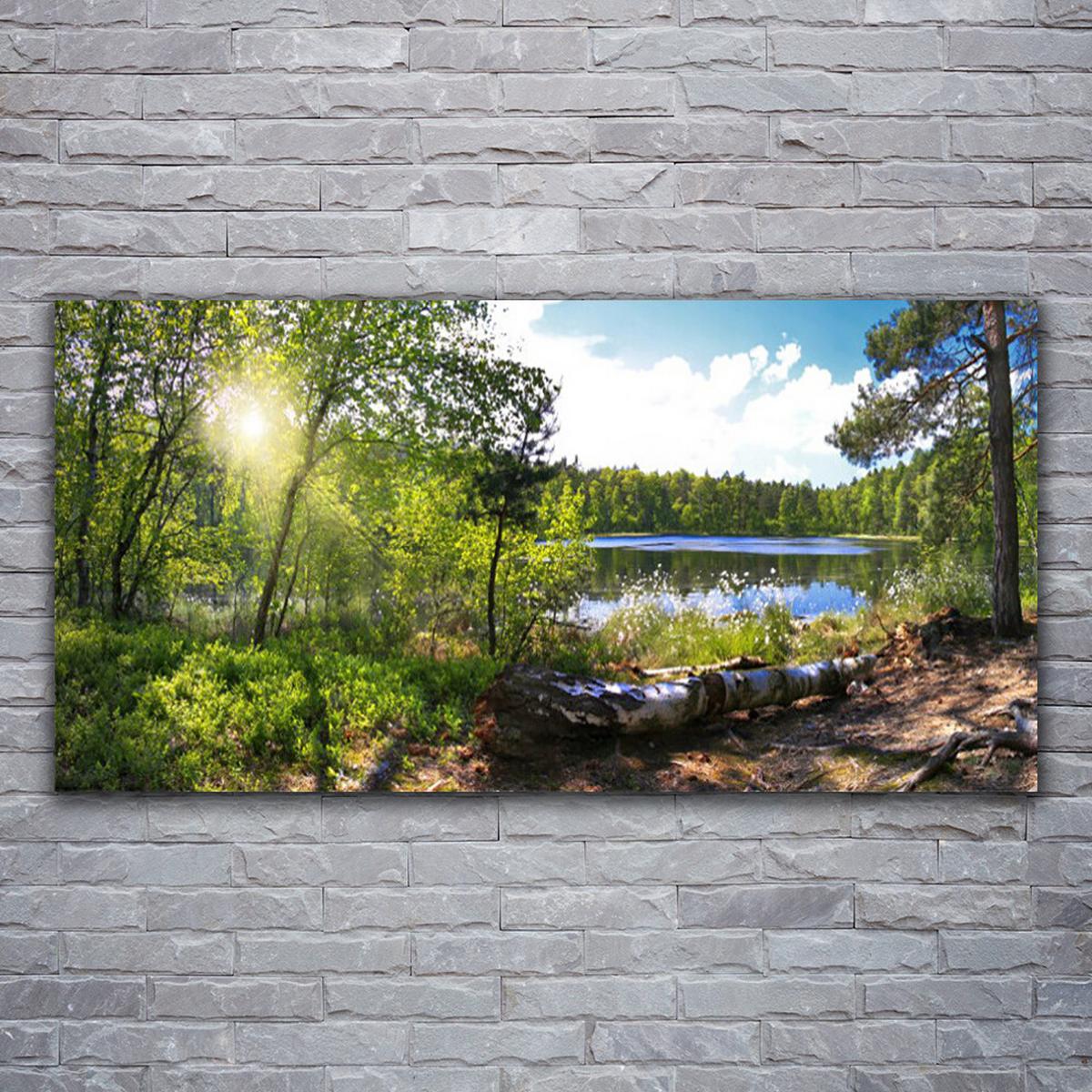 LEINWANDBILD 120x60 cm See im Wald - Hellblau/Grau, Textil (120/4cm) - TULUP