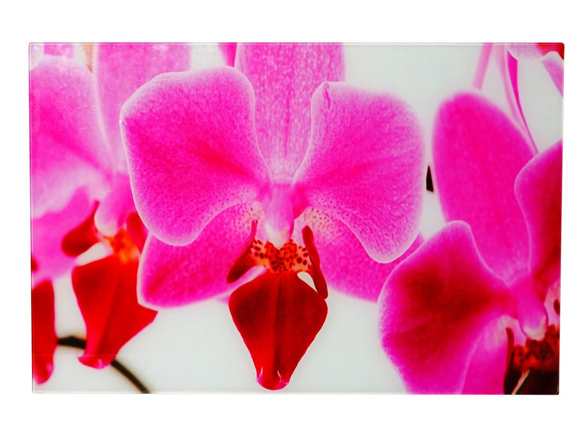 GLASBILD ORCHIDEE Multicolor - Multicolor, Glas (60/40cm) - MCW