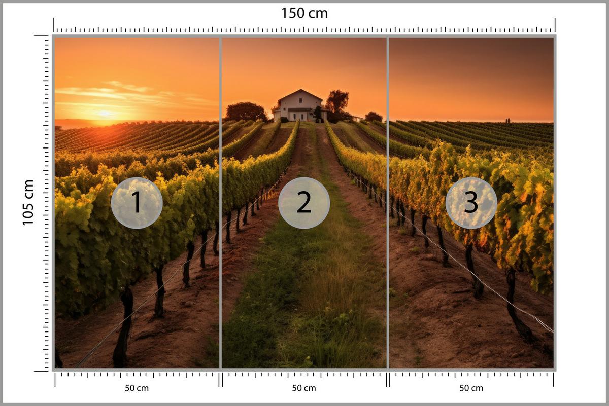FOTOTAPETE für Esszimmer Weinberg Sonnenuntergang Obstgarten 150x105 - Gelb/Beige, Papier (150/105cm) - Muralo