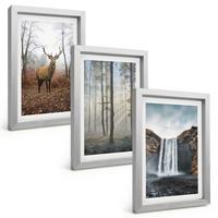 BILDER SET 3er Set - 20x30 cm Silberner Rahmen - Waldlandschaften, wilde Natur - Silberfarben, Kunststoff (20/30cm) - TULUP