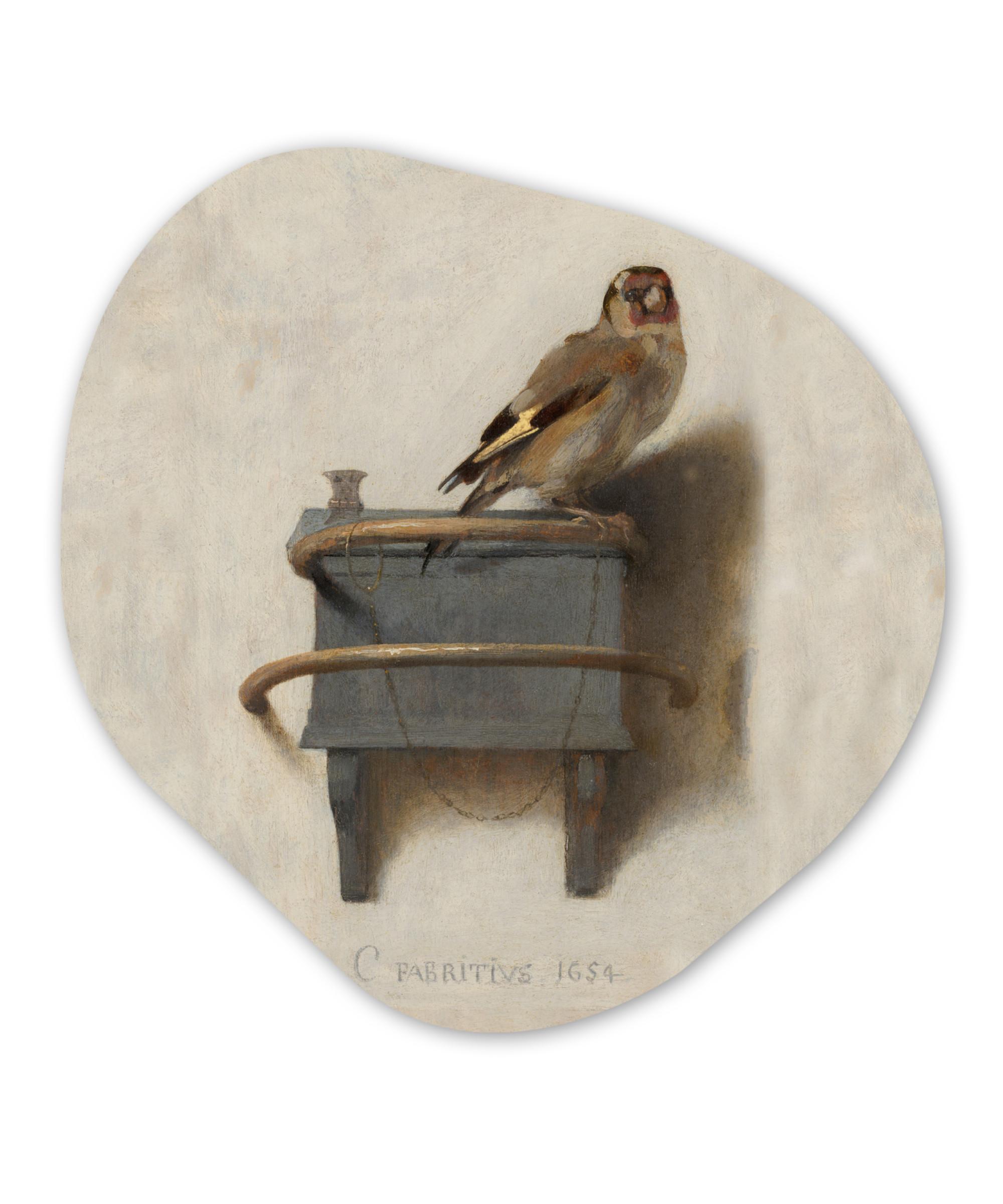 WANDBILD Stieglitz - Alter Meister - Carel Fabritius Wandbild 60x60 cm - Grau, Kunststoff (60/60cm) - MuchoWow