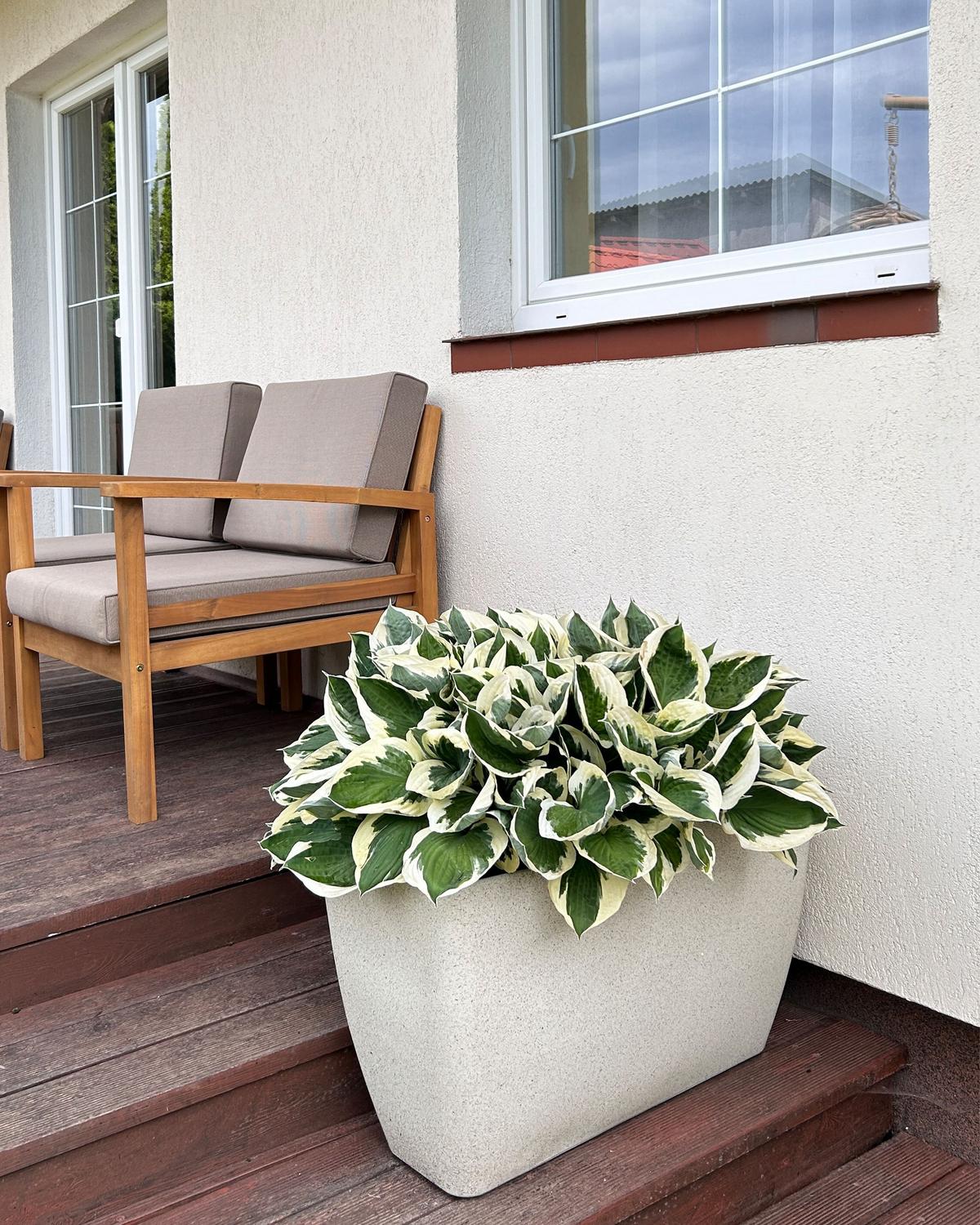 BLUMENTOPF hellbeige rechteckig 60/27/41 cm Baris - Beige, Stein (41cm) - Beliani