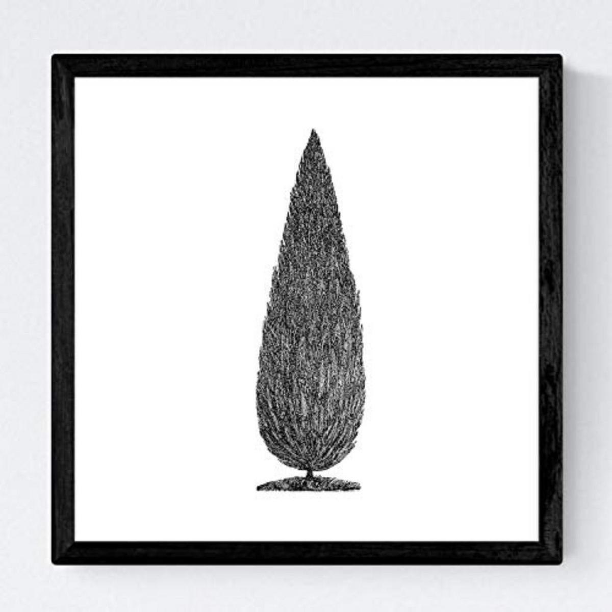 POSTER Set mit 4 Blättern der Bäume in weiß 20x20cm Schwarzer Rahmen - Schwarz, Papier (20/3cm) - Nacnic