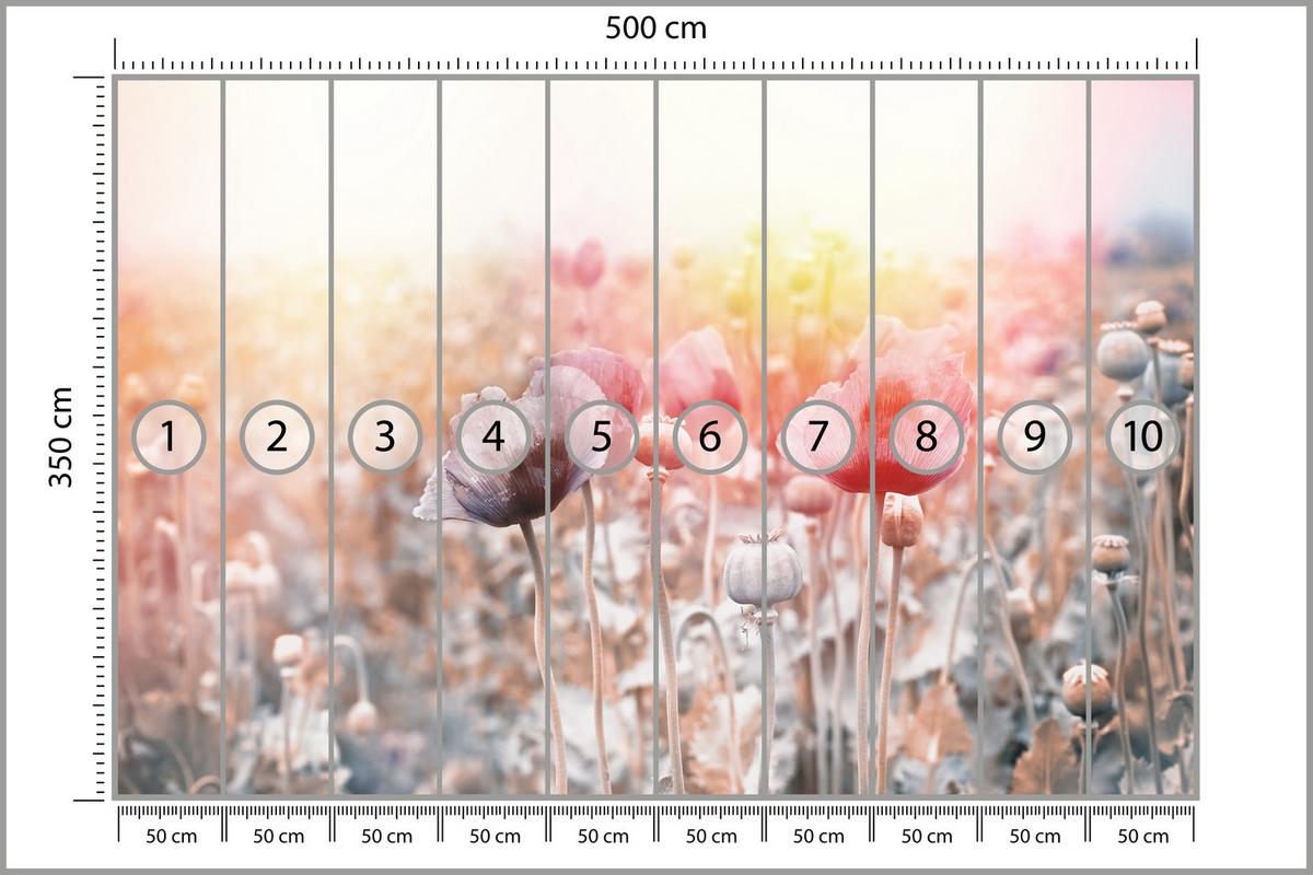 FOTOTAPETE für Wohnzimmer Mohnfeld Wiese Sonnenaufgang Natur 500x350 - Gelb/Rot, Papier (500/350cm) - Muralo