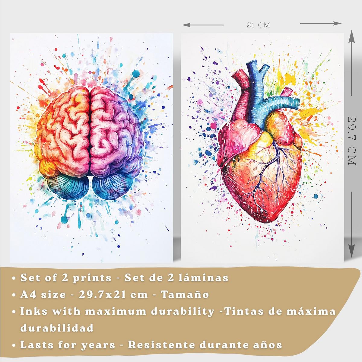 POSTER Set aus 2 Anatomie Drucke und Wandbilder mit Gehirn und Herz Künstlerische Mehrfarbig Aquarell Illustration Größe Leichter Holzrahmen A4 - Beige, Papier (21/29.7/3cm) - Nacnic