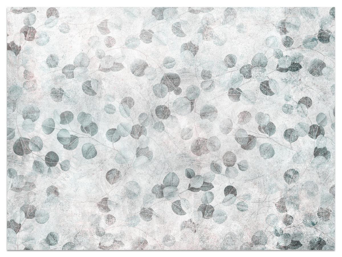 FOTOTAPETE Eukalyptusblätter Beton Vintage Stil 250x175 - Grau, Papier (250/175cm) - Muralo