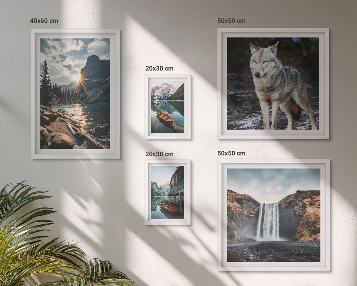 BILDER SET 5er Set - 50x50 cm & 20x30 cm & 40x60 cm Weißer Rahmen - Berge, Seen, Wasserfall, Wolf - Weiß, Kunststoff (40/60cm) - TULUP
