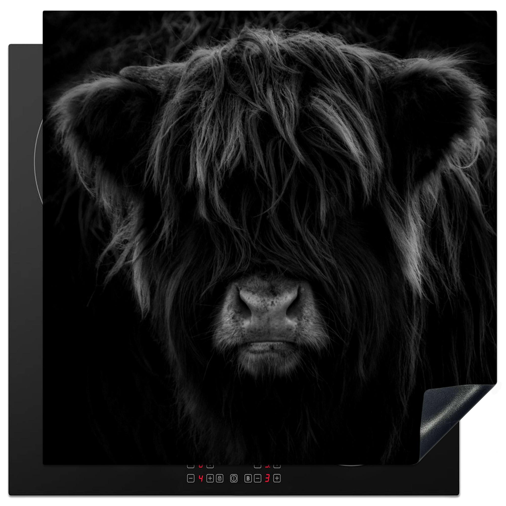 HERDABDECKPLATTE Schottischer Highlander - Kuh - Schwarz - Weiß - Tiere Induktionsmatte 78x78 cm - Schwarz, Kunststoff (78/78/0.2cm) - MuchoWow