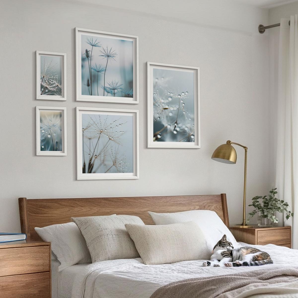 BILDER SET 5er Set - 50x50 cm & 20x30 cm & 40x60 cm Weißer Rahmen - Wassertropfen auf Löwenzahnsprossen - Weiß, Kunststoff (40/60cm) - TULUP