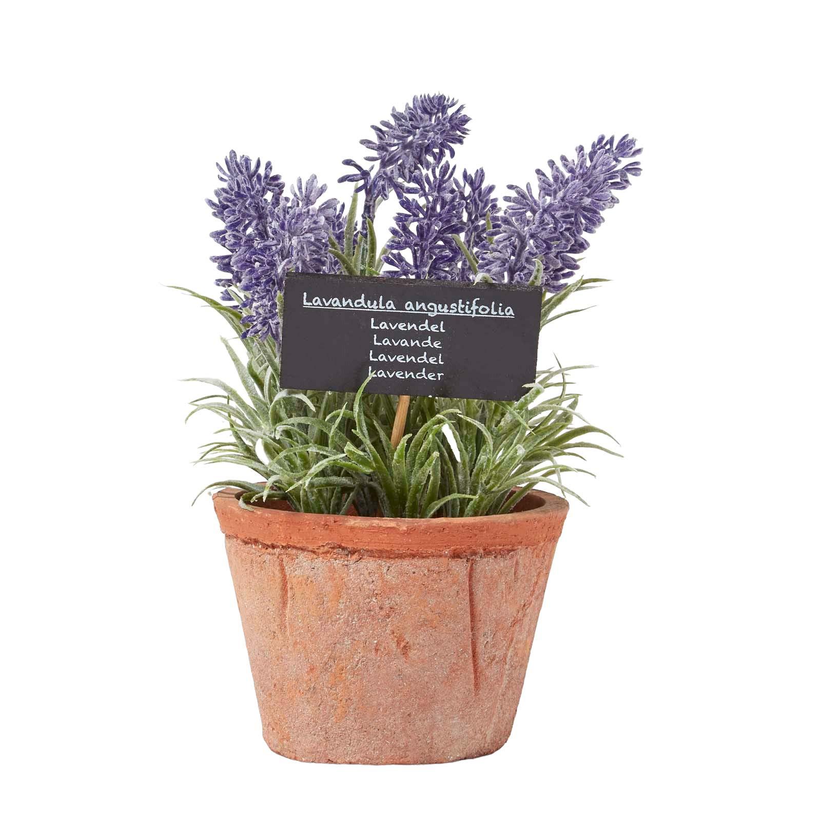 KUNSTPFLANZE Lavendel im Terrakotta-Topf, 20 cm - Lila, Kunststoff (20cm) - Homescapes