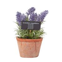 KUNSTPFLANZE Lavendel im Terrakotta-Topf, 20 cm - Lila, Kunststoff (20cm) - Homescapes