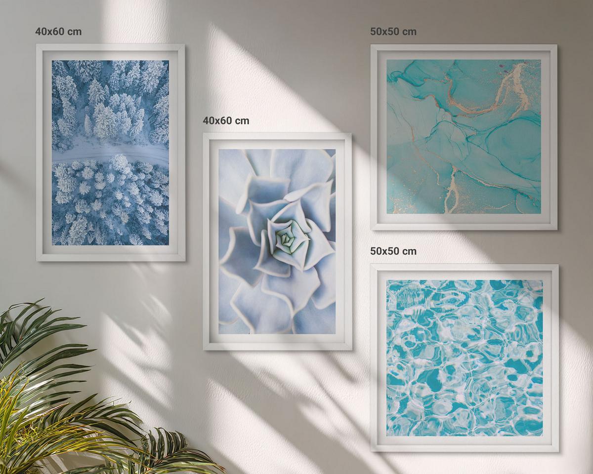 BILDER SET 4er Set - 50x50 cm & 40x60 cm Weißer Rahmen - Winterwald-Blaublume - Weiß, Kunststoff (50/50cm) - TULUP