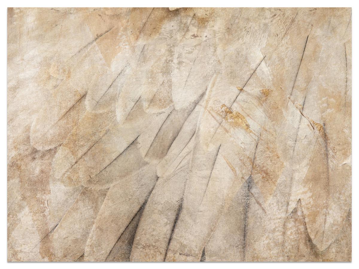 FOTOTAPETE Vogelflügel Beton Retro Stil 400x280 - Beige/Braun, Papier (400/280cm) - Muralo