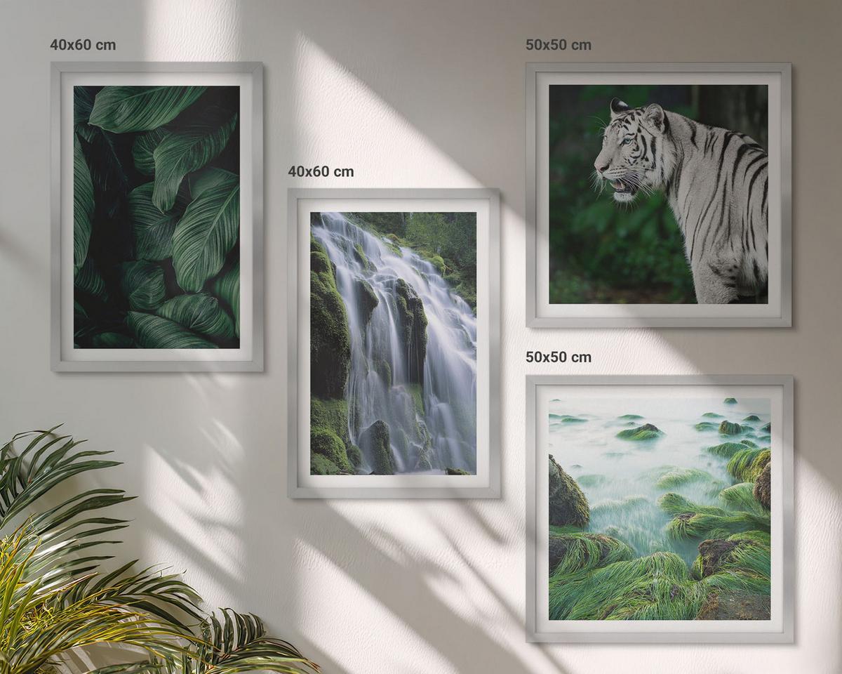 BILDER SET 4er Set - 50x50 cm & 40x60 cm Silberner Rahmen - Blätter des Weißen Tigerwasserfalls - Silberfarben, Kunststoff (50/50cm) - TULUP