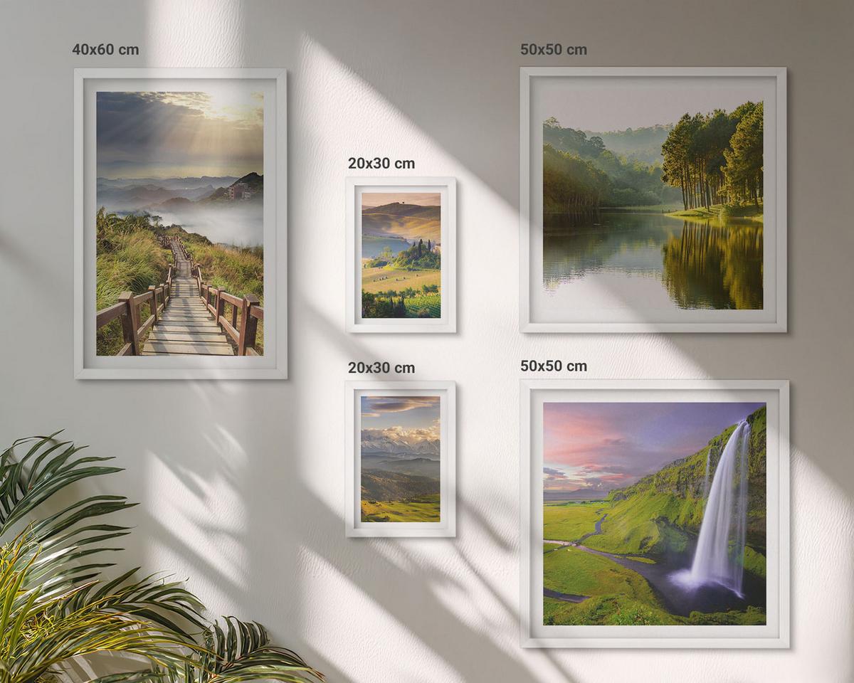 BILDER SET 5er Set - 50x50 cm & 20x30 cm & 40x60 cm Weißer Rahmen - Aquarell von grünen tropischen Blättern - Weiß, Kunststoff (40/60cm) - TULUP