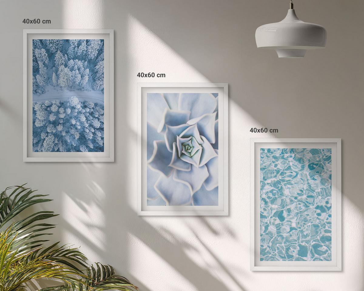 BILDER SET 3er Set - 40x60 cm Weißer Rahmen - Winterwald blaue Blume Wasser - Weiß, Kunststoff (40/60cm) - TULUP