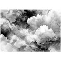 FOTOTAPETE Abstrakt Marmor Schwarzweiß 350x250 cm - Multicolor, Papier (350/250cm) - Wallarena